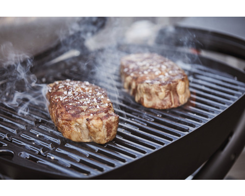 Weber Q 1200 Zwarte gasbarbecue, 1 roestvrijstalen brander 2,49 kW, grilloppervlak 43 x 32 cm, grillrooster van gietijzer, deksel en behuizing van gegoten aluminium, inclusief geïntegreerde thermometer, elektronische ontsteking, twee uitklapbare zijt