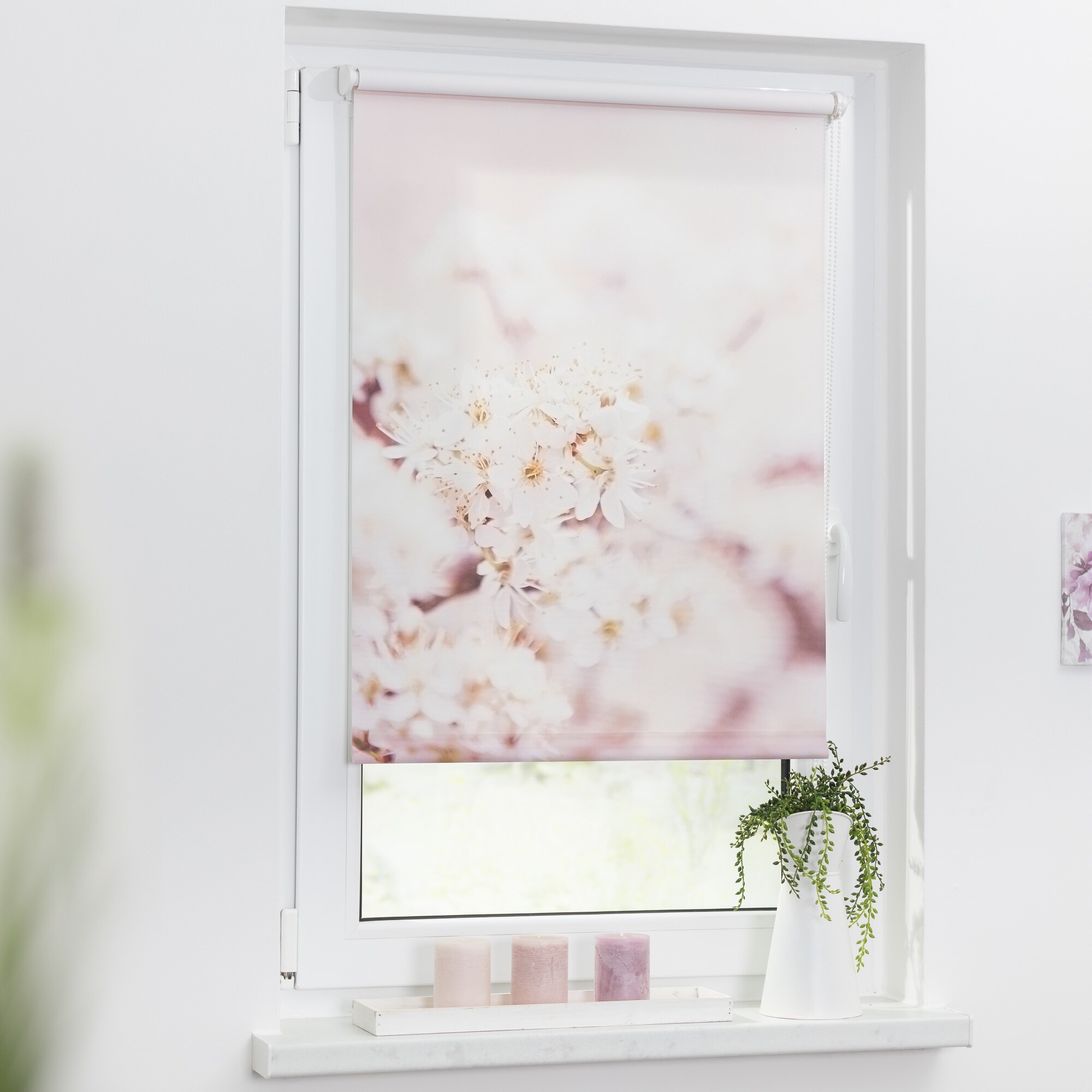 Lichtblick Rollo Klemmfix, ohne Bohren, blickdicht, Kirschblüten - Rosa Weiß