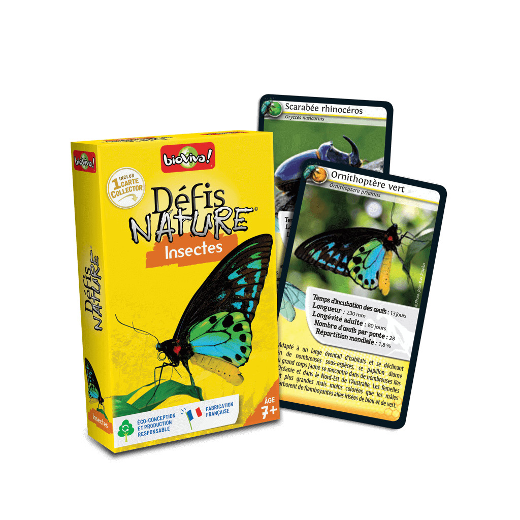 Défis Nature - Insectes