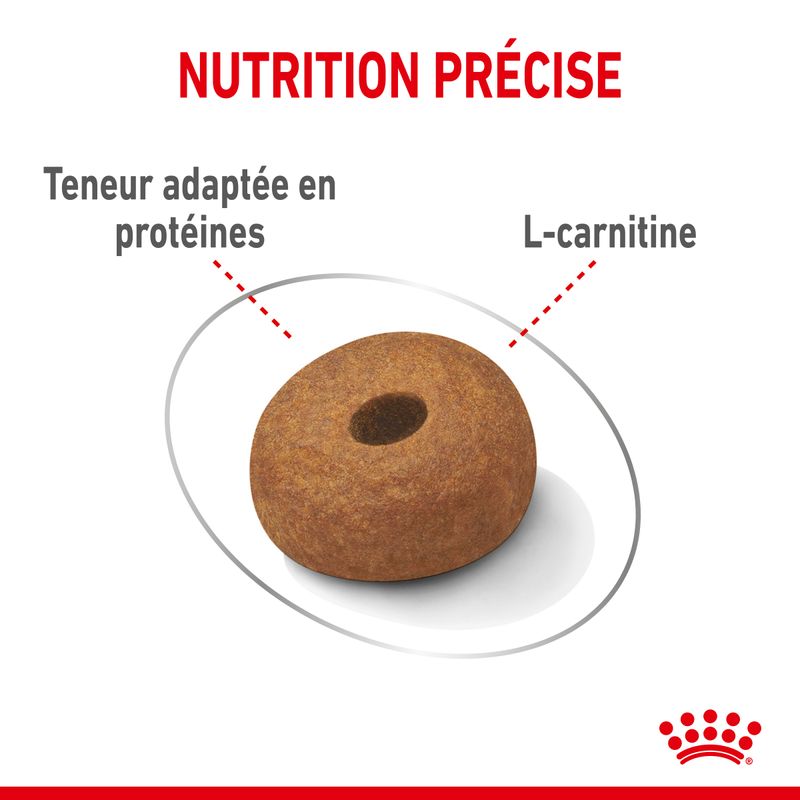 Royal Canin Maxi Light Weight Care à prix discount sur bitiba.fr