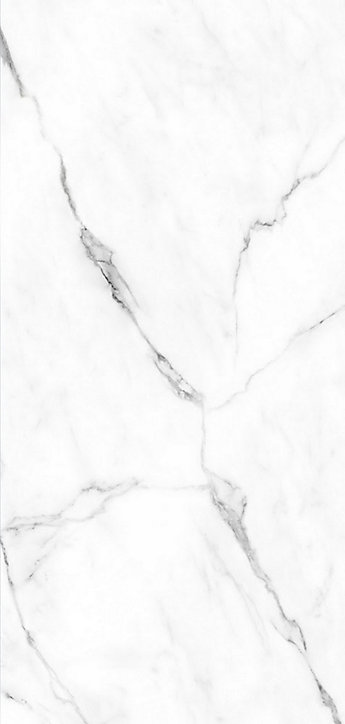 Panneau mural Schulte Brio marbre de carrare brillant 100 x 210 cm, lot de 2