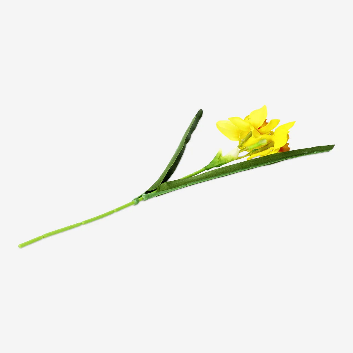 Dekorativ gul blomst