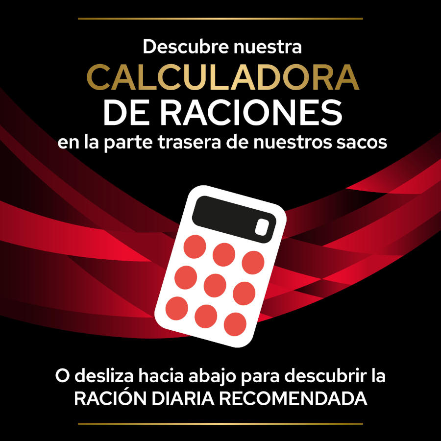 Pro Plan Veterinary Diets DM Ração para Cães Diabéticos