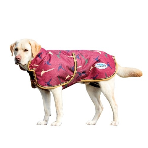 Casaco estilo parka para cães, bordô/estampado