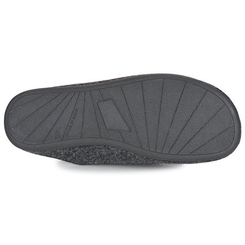 Verbenas - EAGLE - Anthracite