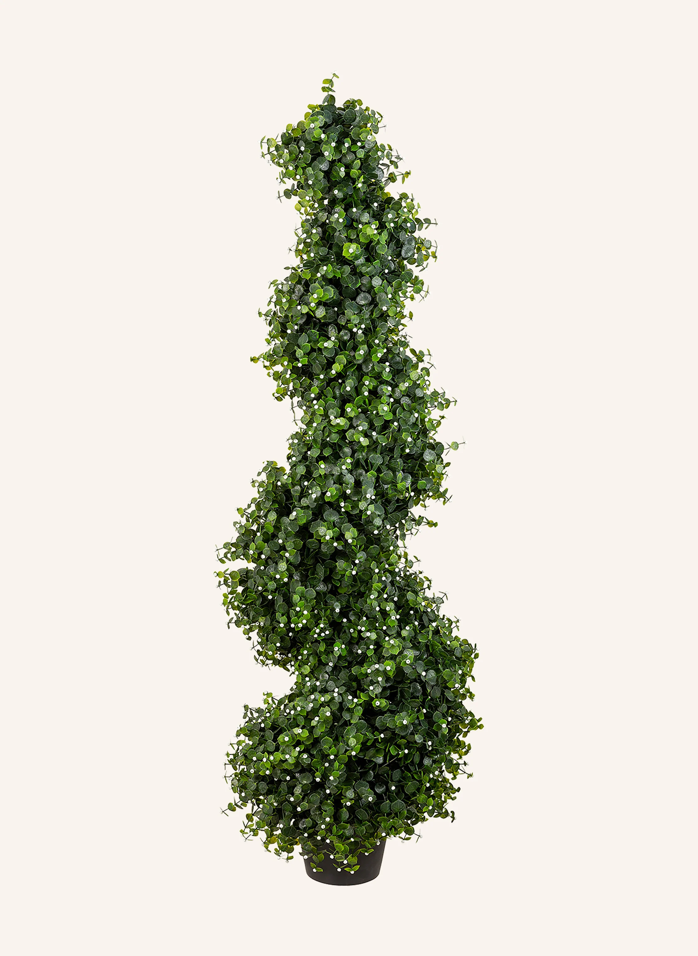 Fink Spirale MÜNZBLATT
