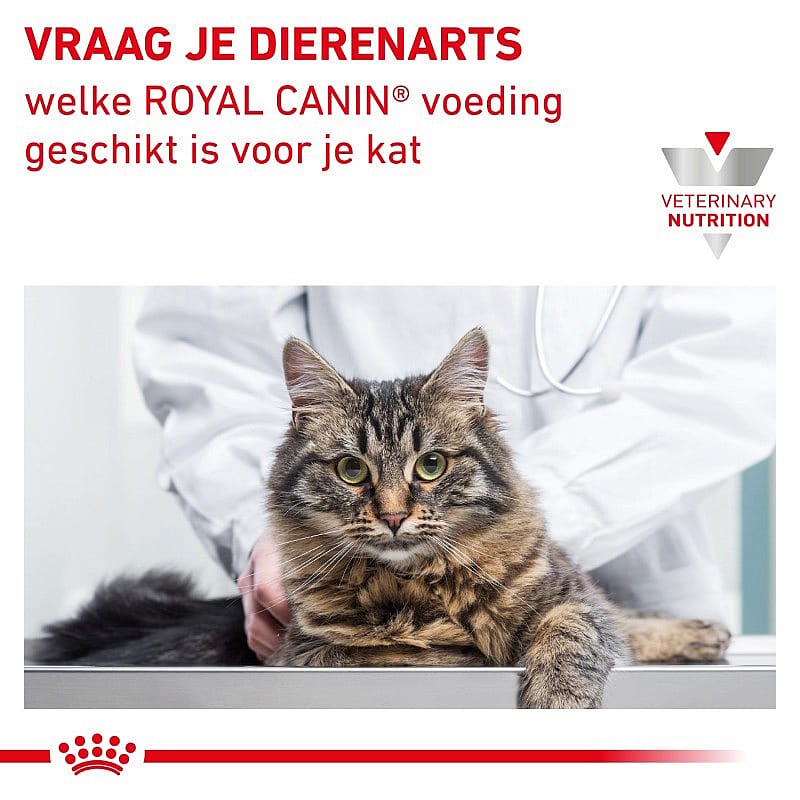 Royal Canin Renal Special kat Kattenvoer voor ondersteuning van de nierfunctie van volwassen katten