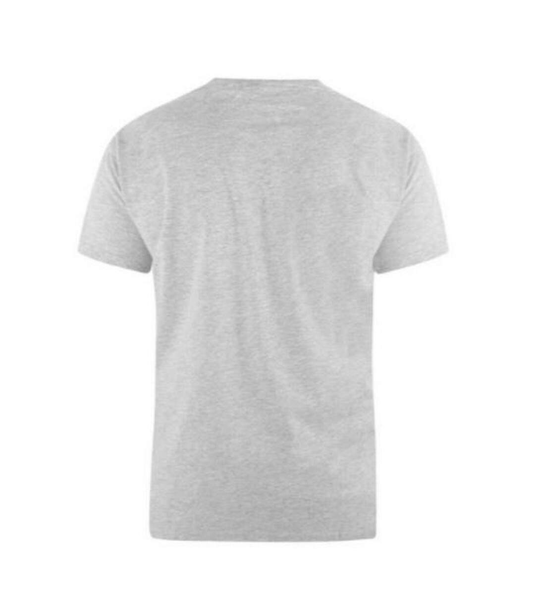 Duke D555 Kingsize Flyers - T-shirt col ras-du-cou - Homme (Gris) - UTDC143