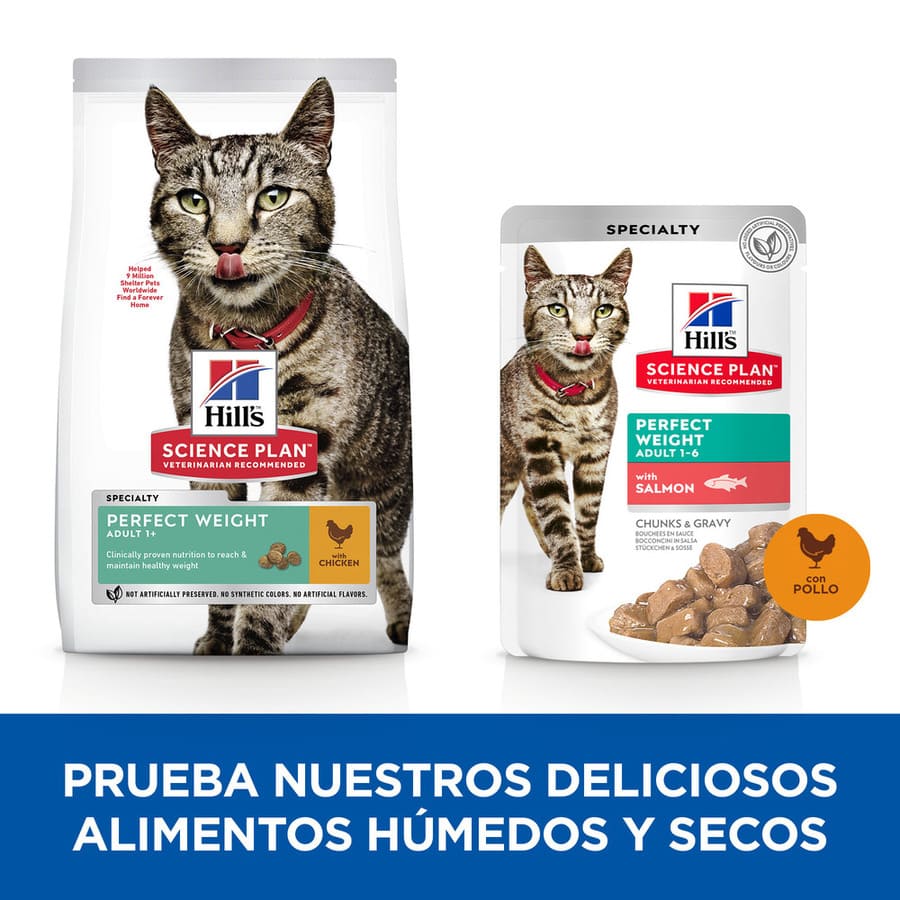 Plano de Ciências Hill's Perfect Weight Adulto frango para gatos