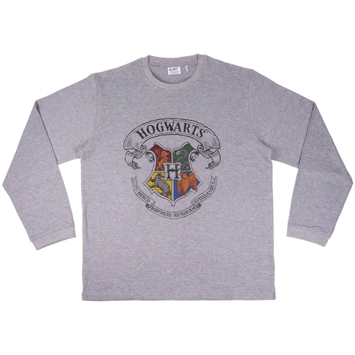 Harry Potter - 2200006498 Gris