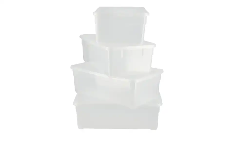 Rotho Aufbewahrungsbox, 4er Set