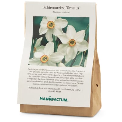 Blumenzwiebeln Dichternarzisse 'Ornatus'