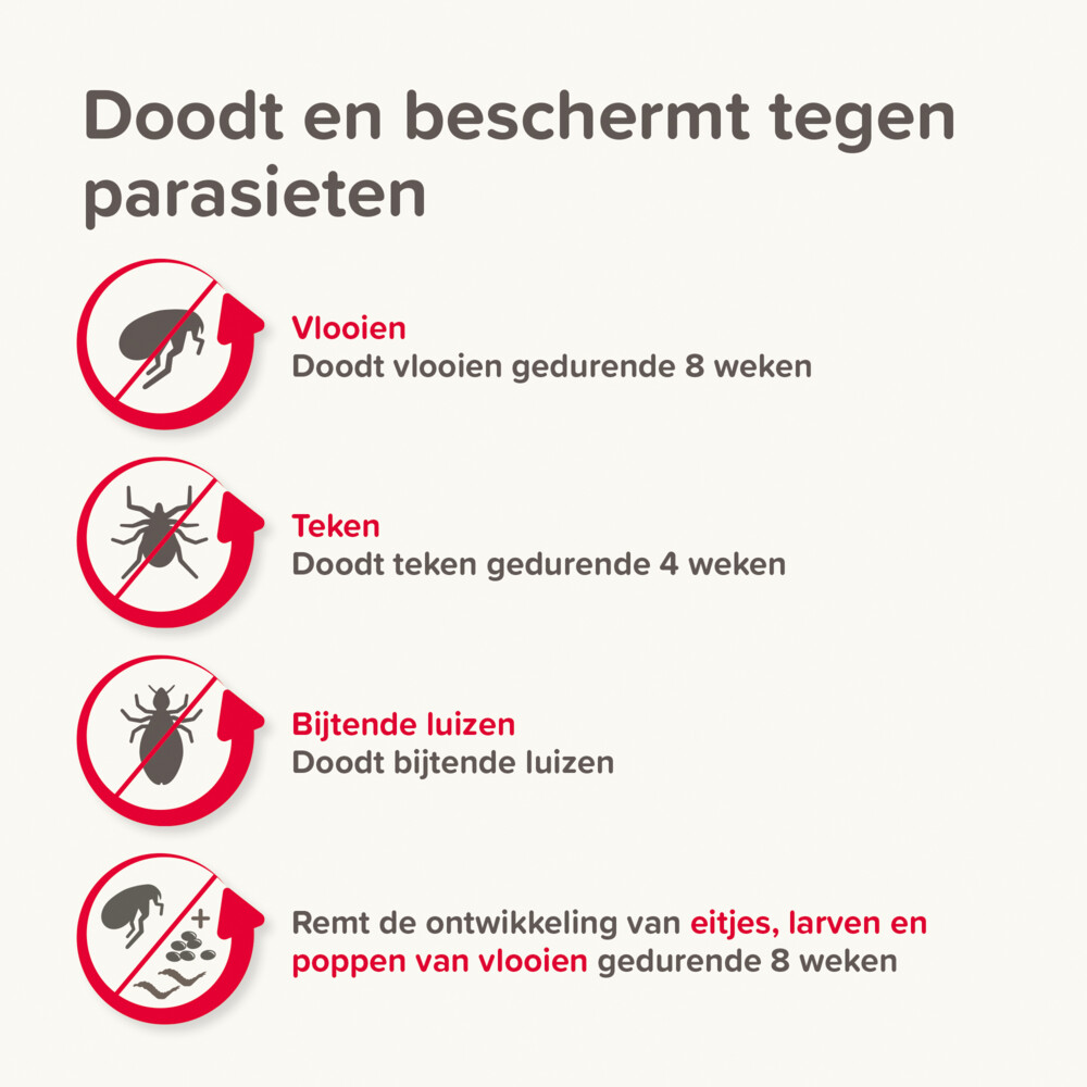 Beaphar Combotec Anti Teken- en Vlooiendruppels Hond 2-10 kg2 pipetten