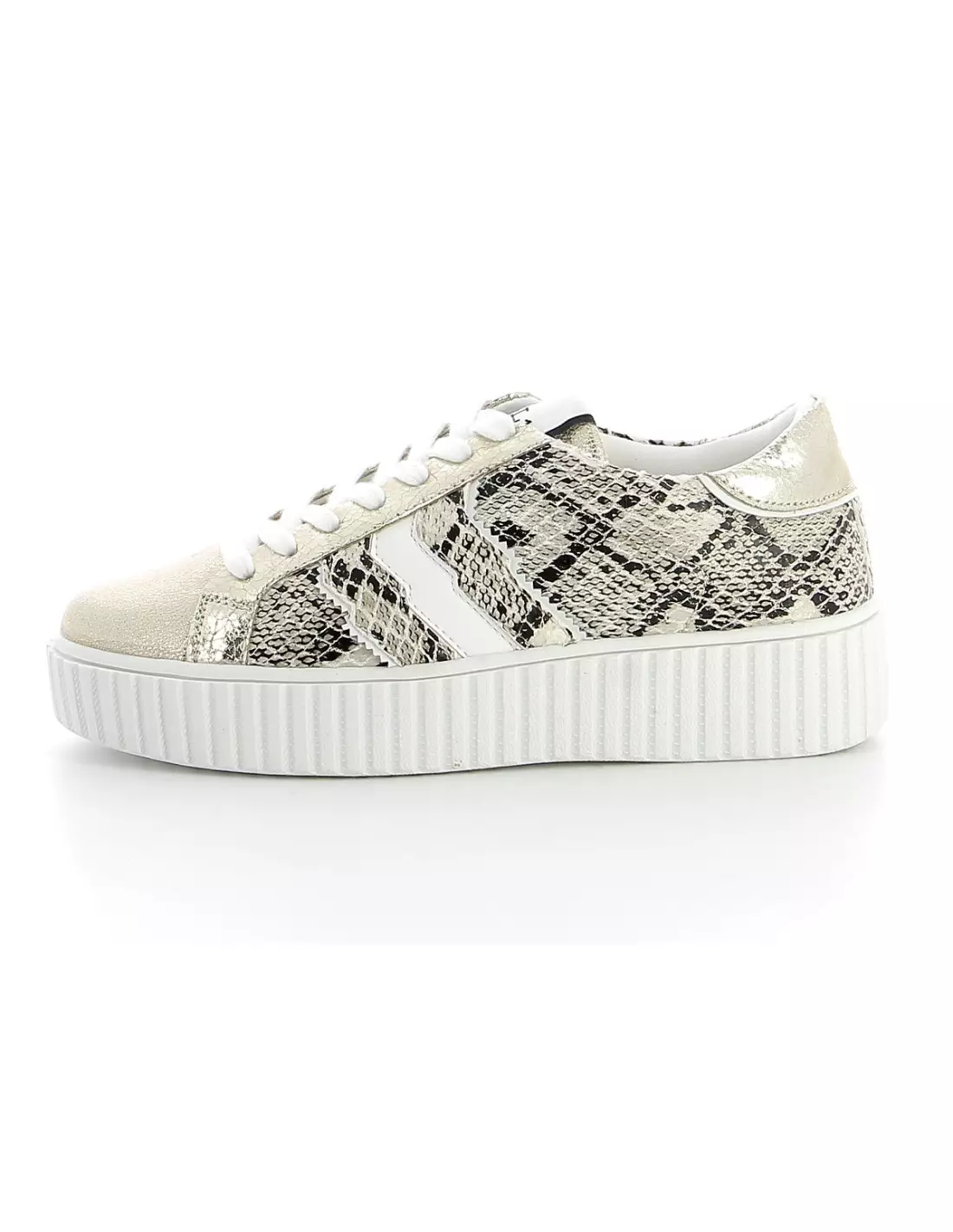 CL11 CL31 SNAKE - Baskets Snake