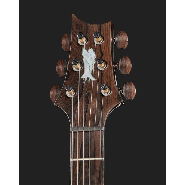 PRS Special 22 SH Private Stock CG