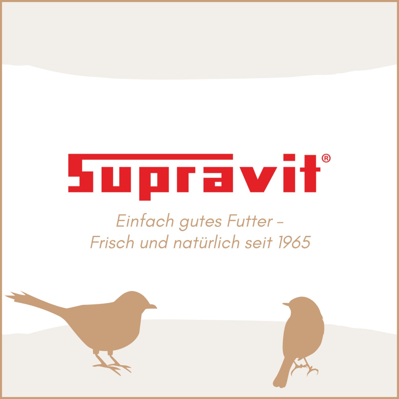 Supravit Erdnüsse rot mit Haut - Top Erdnusskerne Vogelfutter Wildvogelfutter Fettfutter 2,5 kg