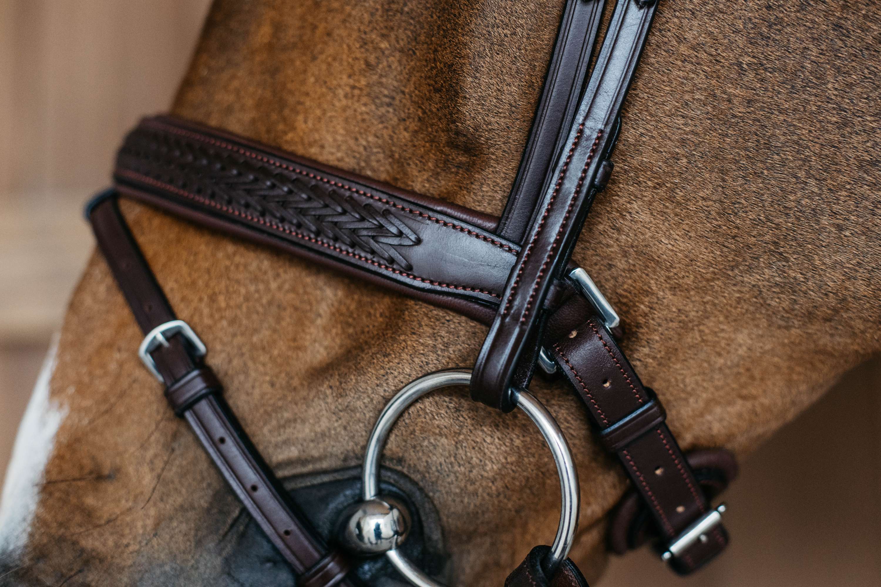 Dyon Hoofdstel Flash Pull-Back Gevlochten Bruin