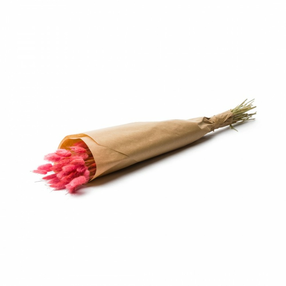 Botte de fleurs séchées lagurus ovatus rose