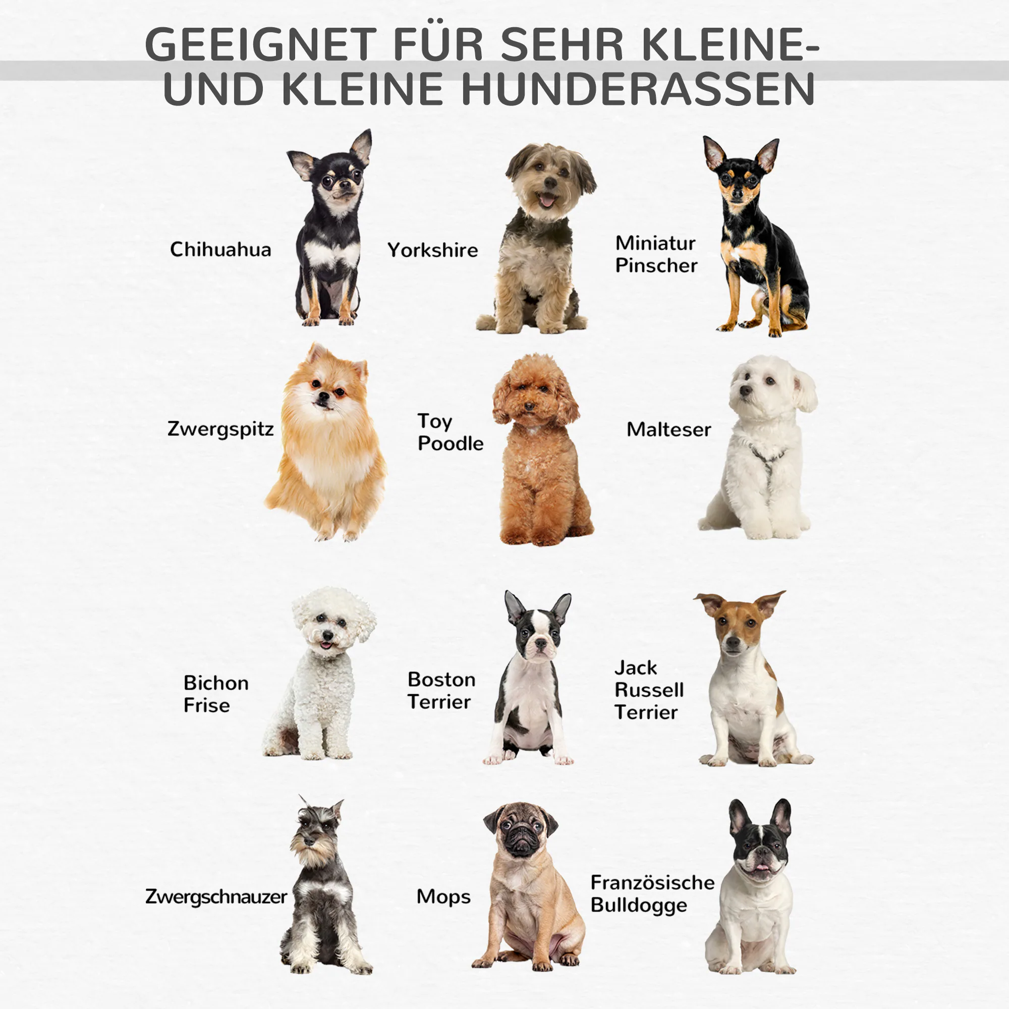 PawHut Hundesofa 73,5 x 41 x 33 cm (LxBxH)