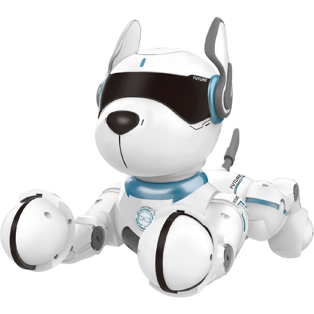 Ziggy, der Roboterhund