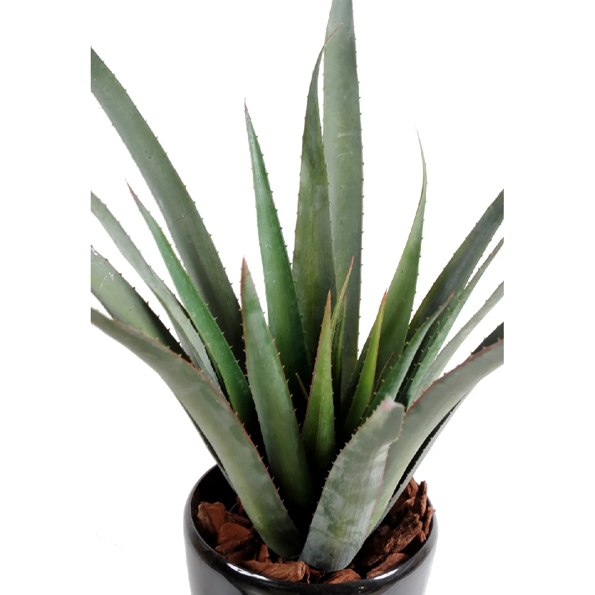 Pegane Aloe ferox artificiel - Vert 65 cm