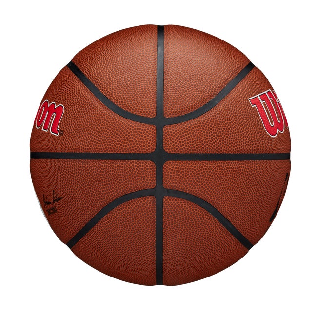 NBA Team Alliance Basketball