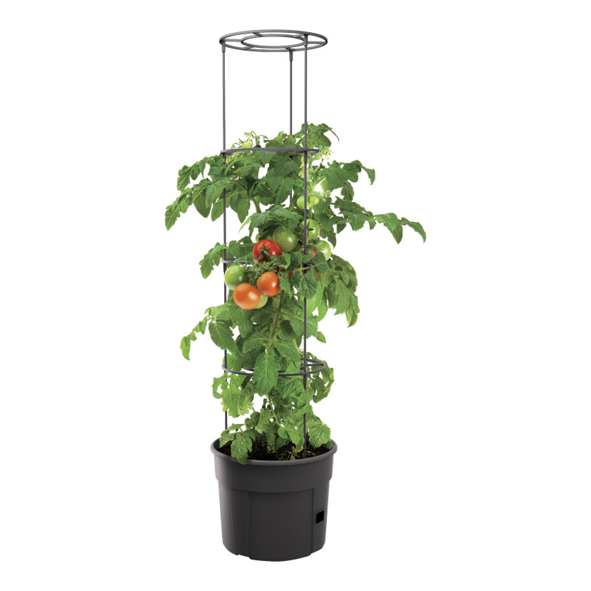 Tomatkrukke Ø30 cm