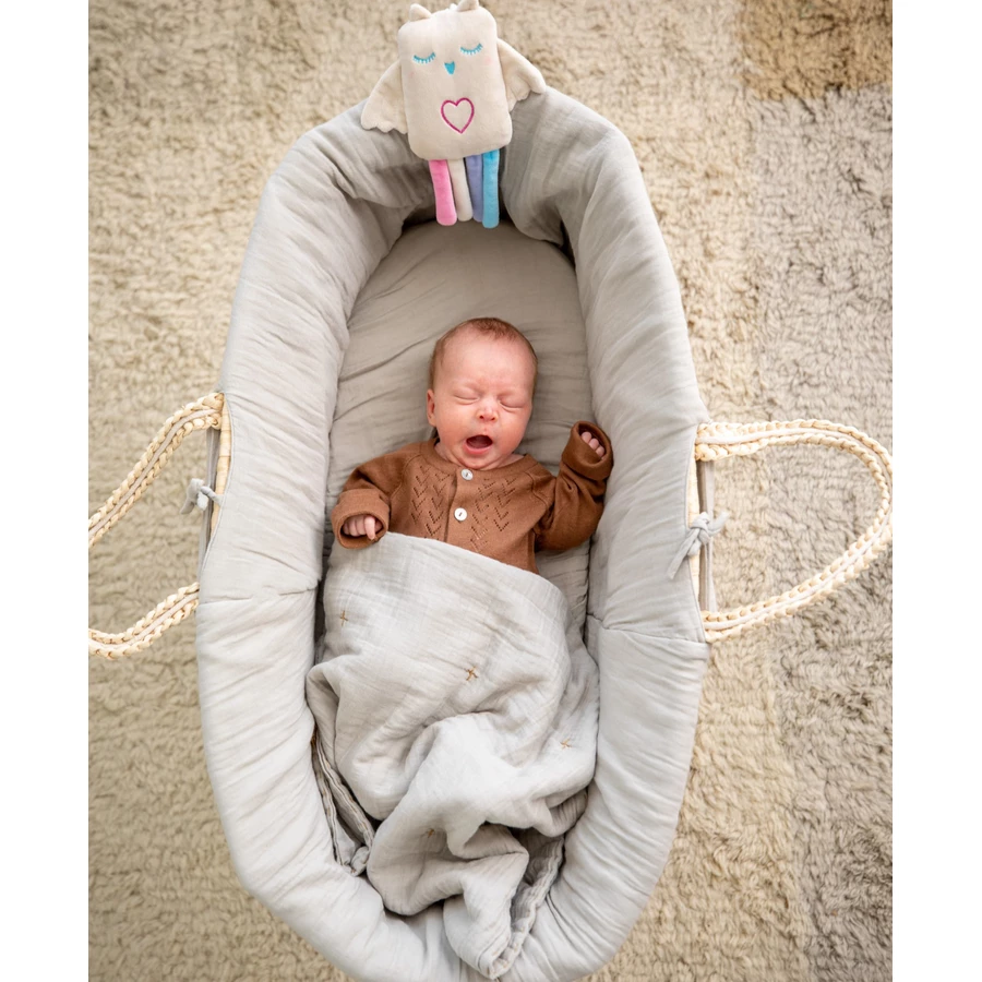 Lulla doll by RoRo Einschlafpuppe Lulla Eule creme, blau , rosa, lila