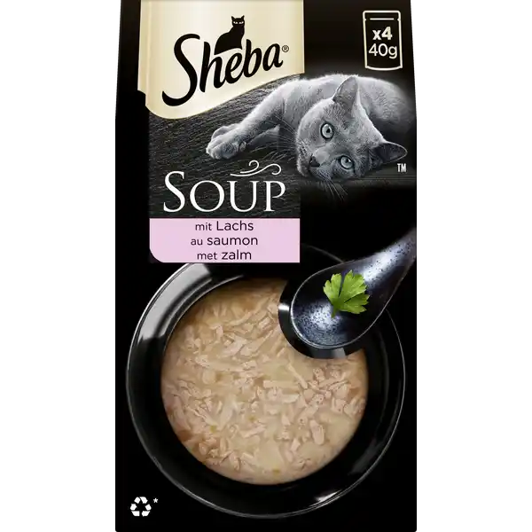 Soup mit Lachs Multipack