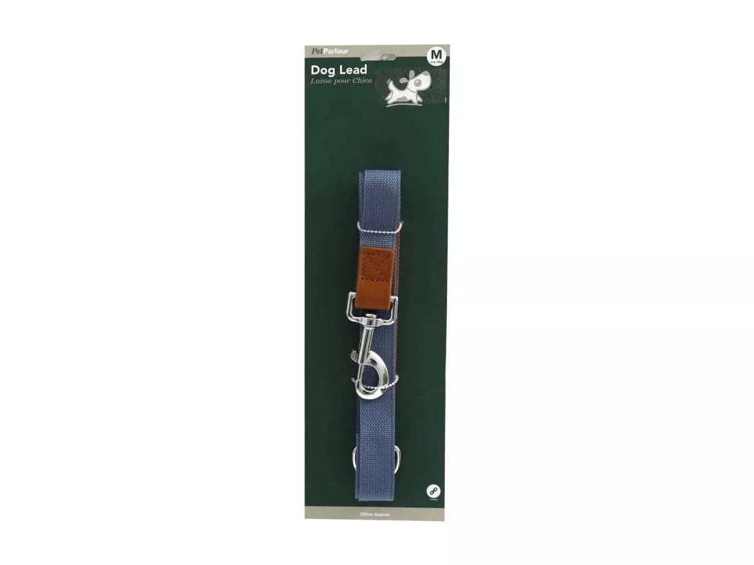 Laisse en polyester 120 cm