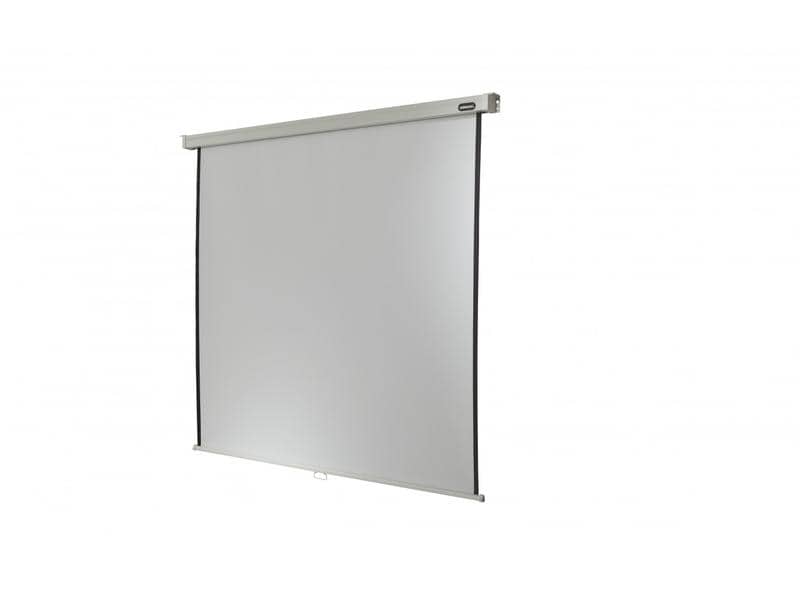 Celexon Rollo-Leinwand Professional Plus 220x165 cm 4:3 Celexon Leinwand Rollo Professional Plus 220 x 165 cm