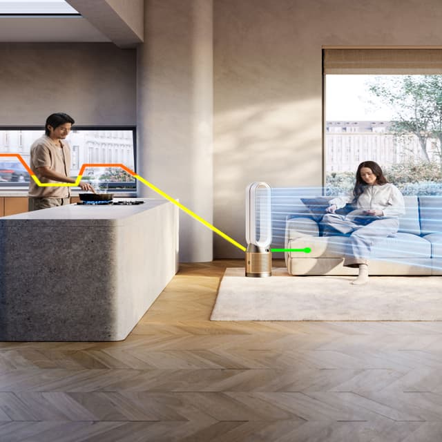 Dyson Cool PC2 De-NOx luftrenser 546519-01 (hvid/guld)