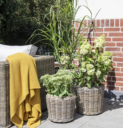 Zada Krukke 47 x 45 cm