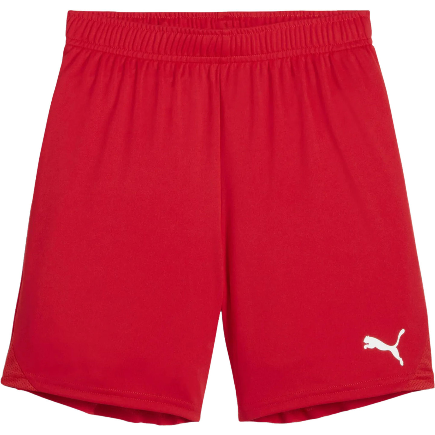 Puma GOAL Training Short Kids