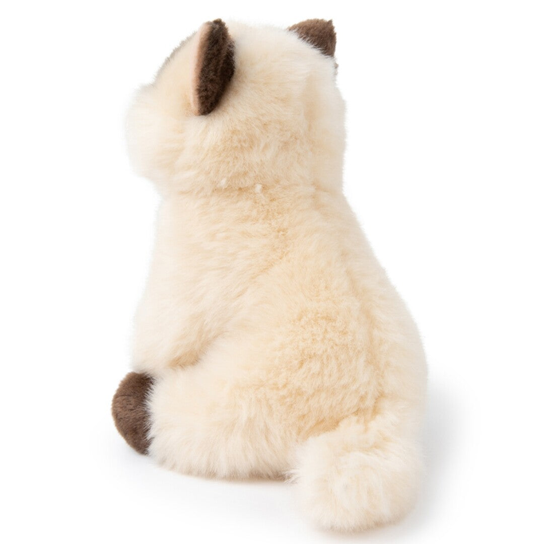 B.t. chaps knuffelpoes eddie the siamese - 17 cm