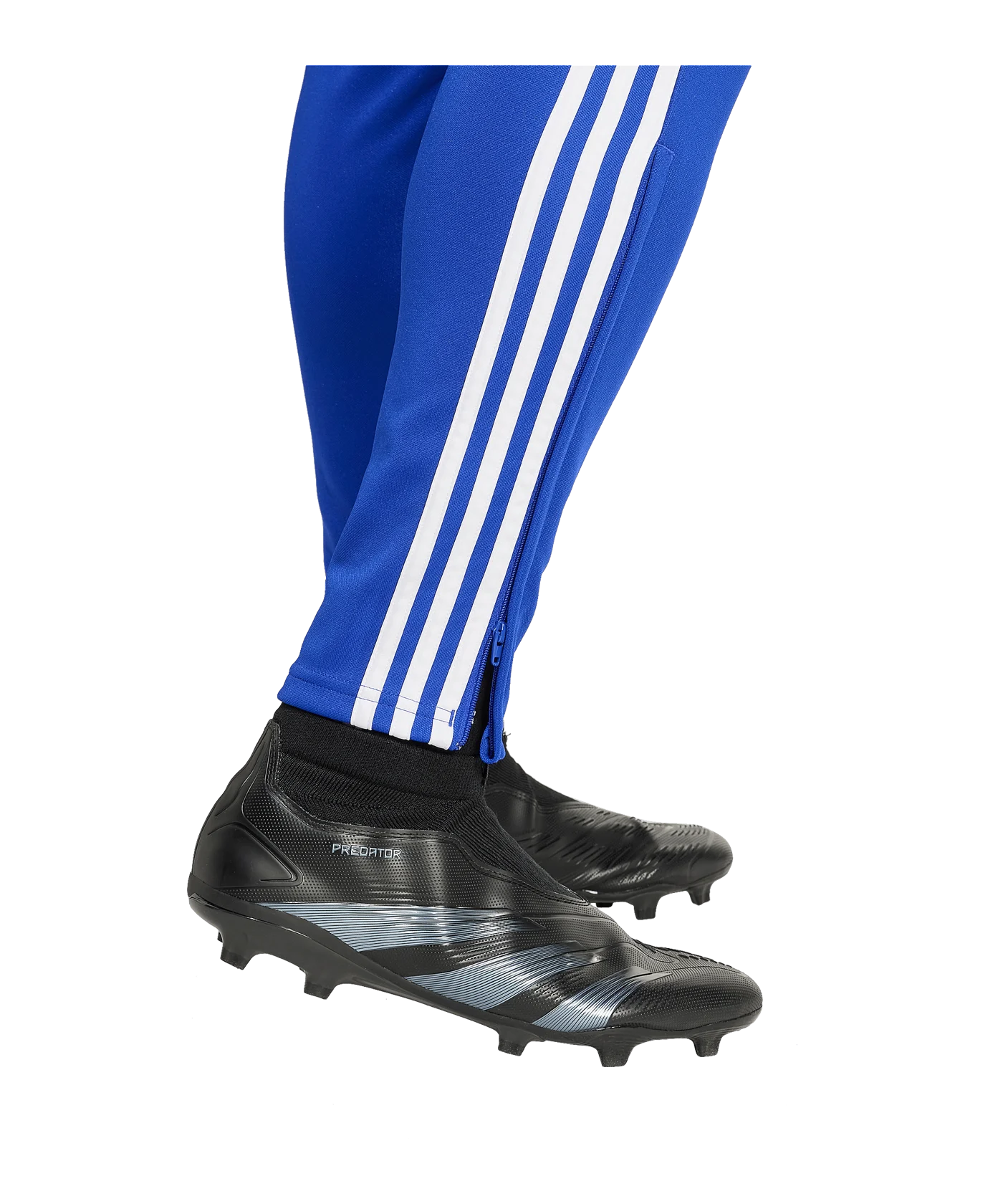 adidas Tiro 24 Trainingshose Blau