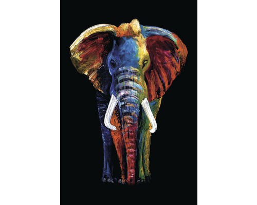 Decopaneel Olifant 61x91 cm