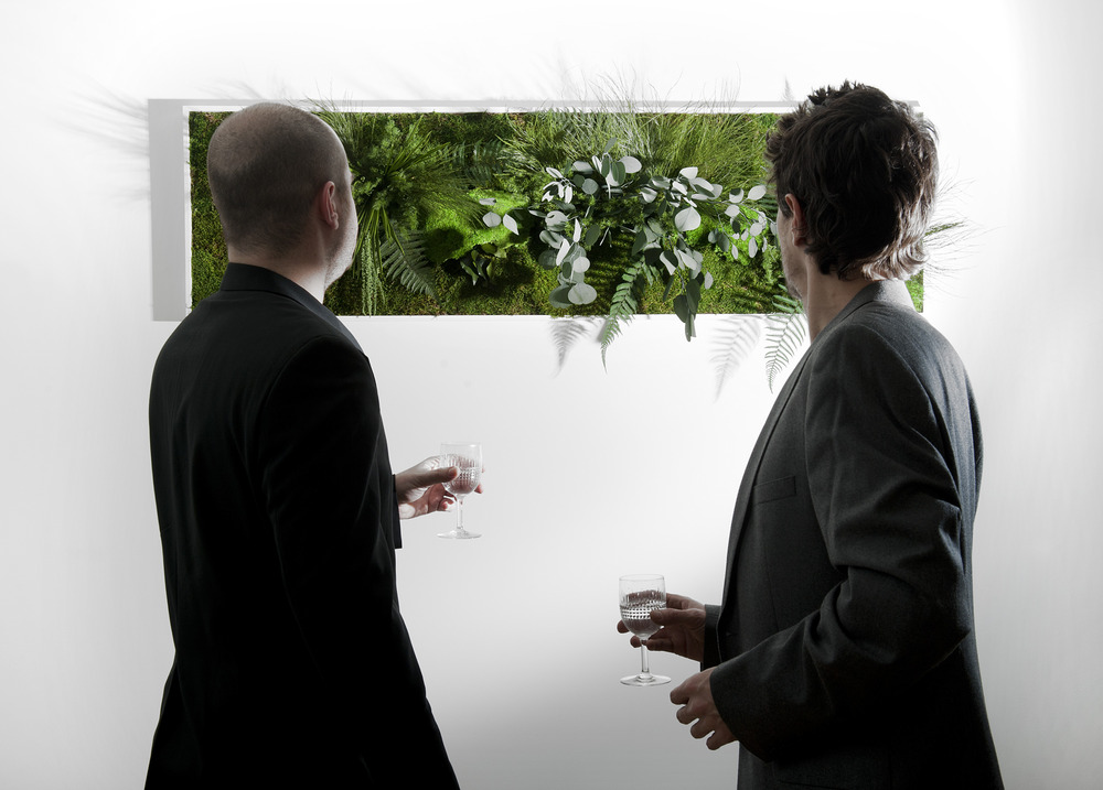 Tableau végétal stabilisé midori 140*40 cm