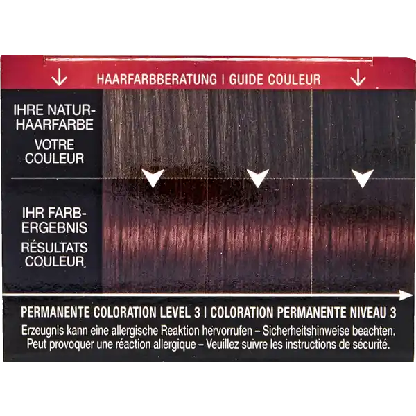 Professional Performance Permanente Coloration 4_2 Mahagoni