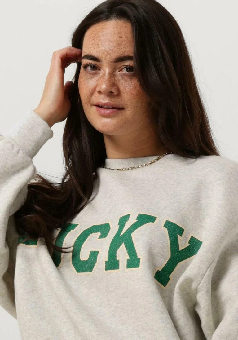 BY-BAR lichtgrijze by-bar trui bibi lucky vintage sweater