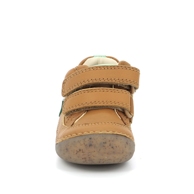 Kickers Kickers Sostankro Camel