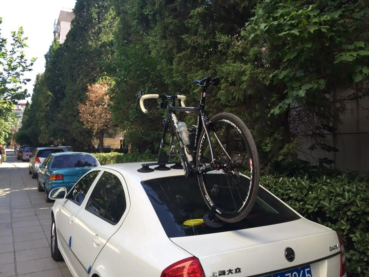 TreeFrog Elite 1 Cykelholder med Sugekopper