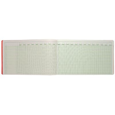 Exacompta - Piqûre comptable - 44 colonnes sur 2 pages - 32 x 55 cm - 80 pages