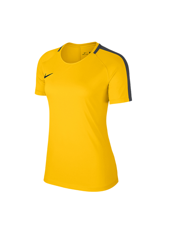 Nike Academy 18 Football T-Shirt Damen F719
