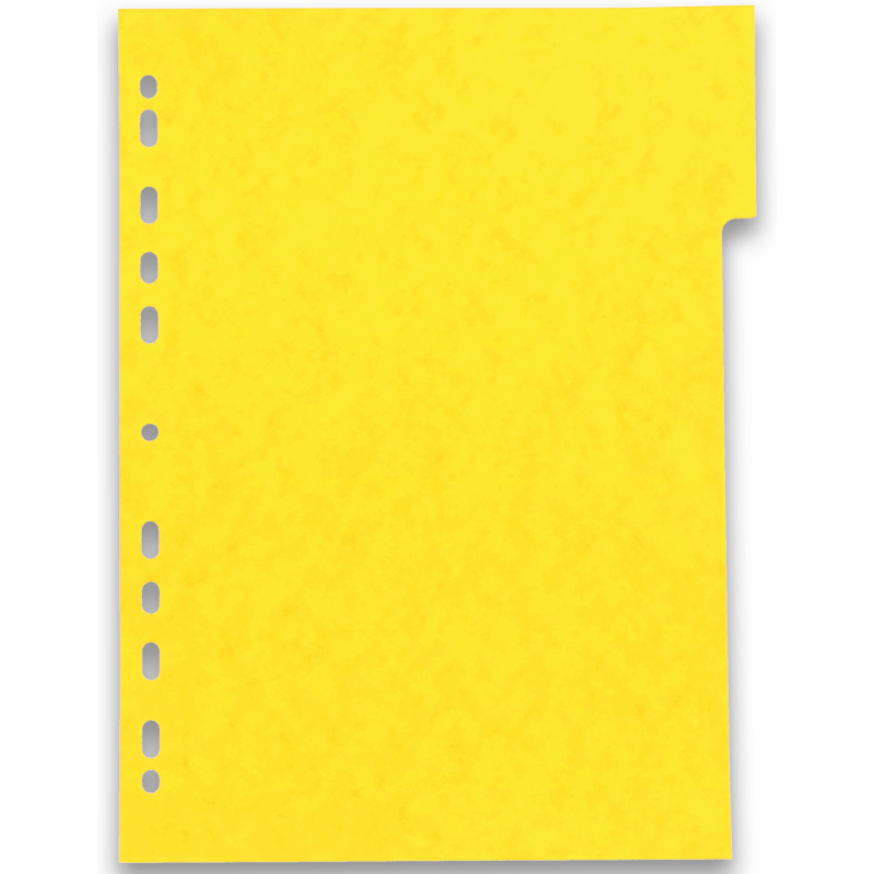Intercalaires neutres A4 12 positions carte lustree 225g assorti