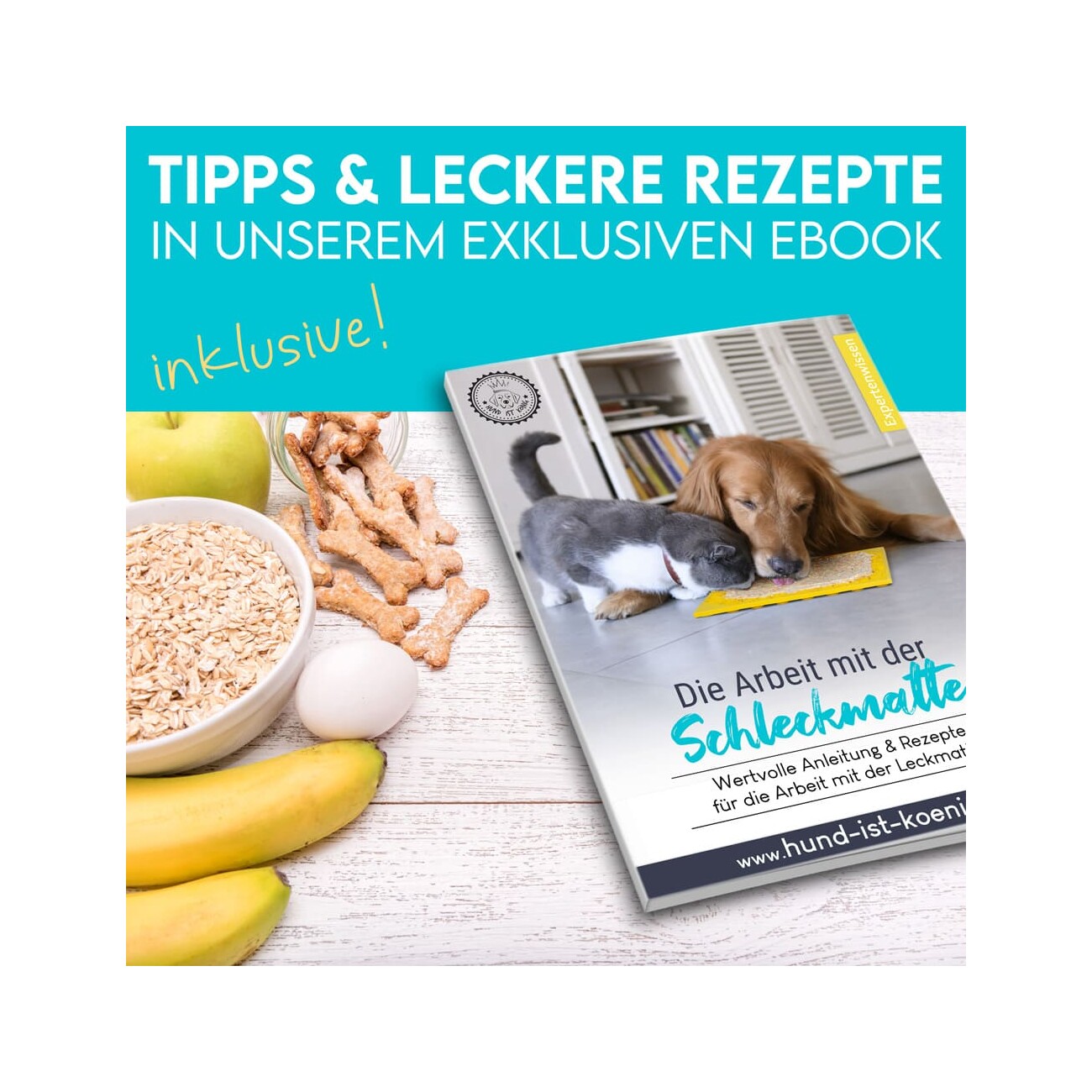 HUND IST KÖNIG Leckmatte Hund mit Saugnäpfen | 22x22 cm inkl. Spatel + Rezepte-Ebook