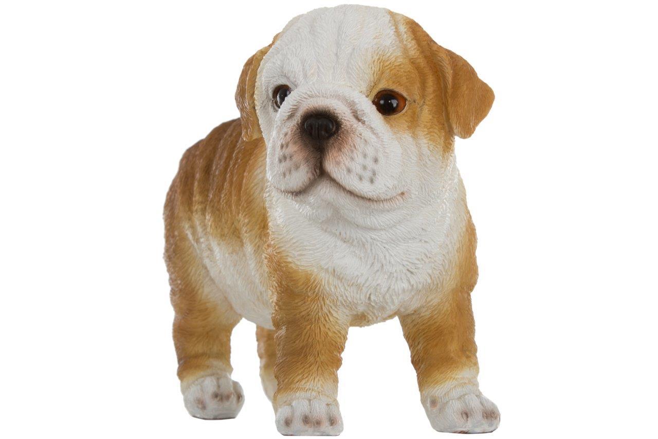Mops - braun-weiß - 19 cm