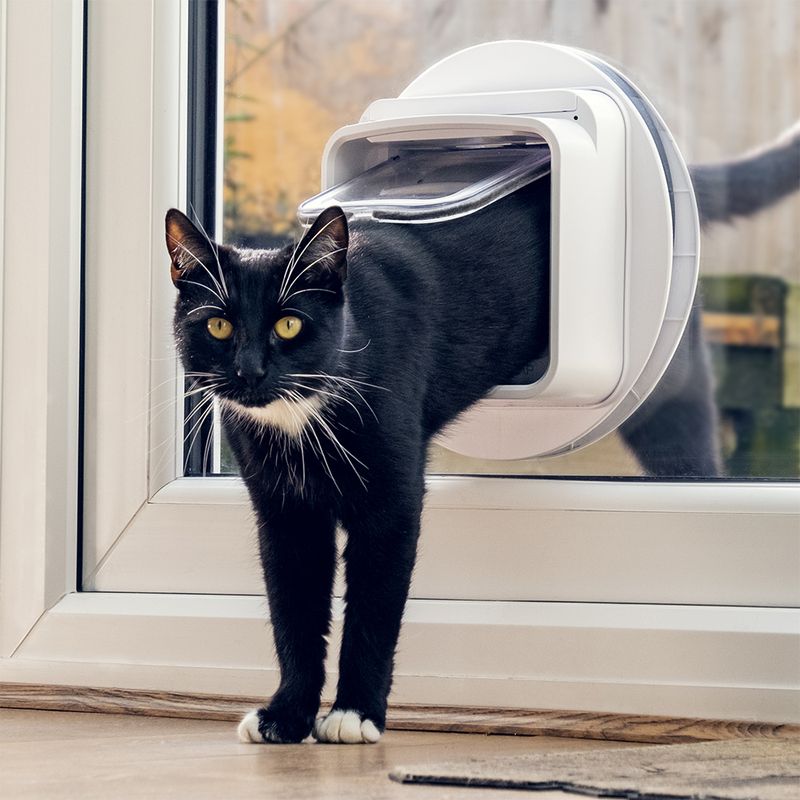 Chatière SureFlap Connect à puce électronique