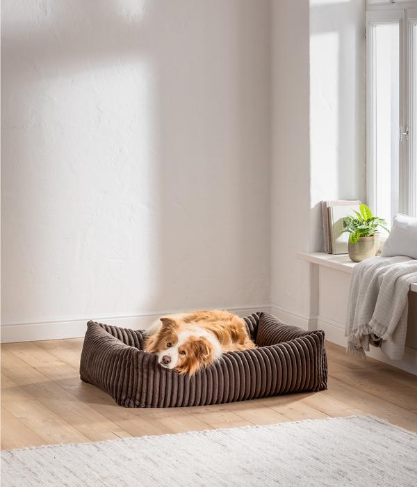 Dehner Premium Hundebett Doya, rechteckig, ca.