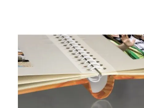 Hama Singo, Orange, 60 ark, 280 mm, 310 mm